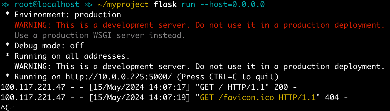 Flask运行输出
